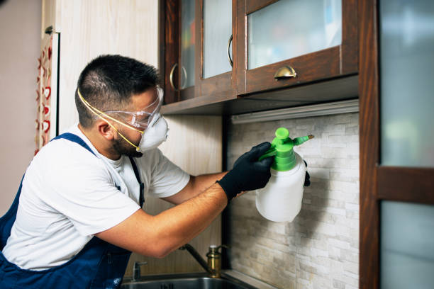 Best Wildlife Control Services  in Pflugerville, TX