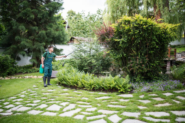 Reliable Pflugerville, TX Pest Control Solutions