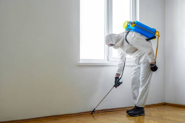 Best Emergency Pest Control  in Pflugerville, TX