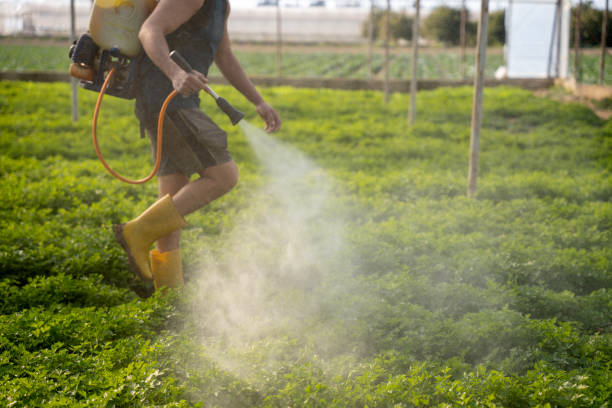 Best Pest Control Near Me  in Pflugerville, TX