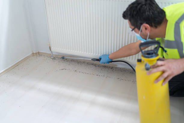 Best Pest Prevention Services  in Pflugerville, TX